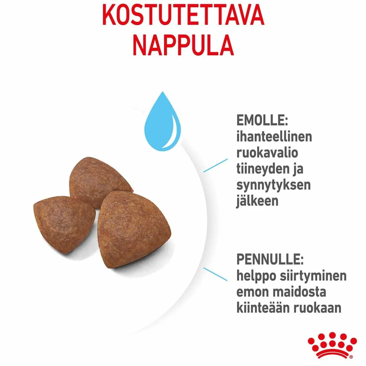 Medium Starter>Royal Canin Online