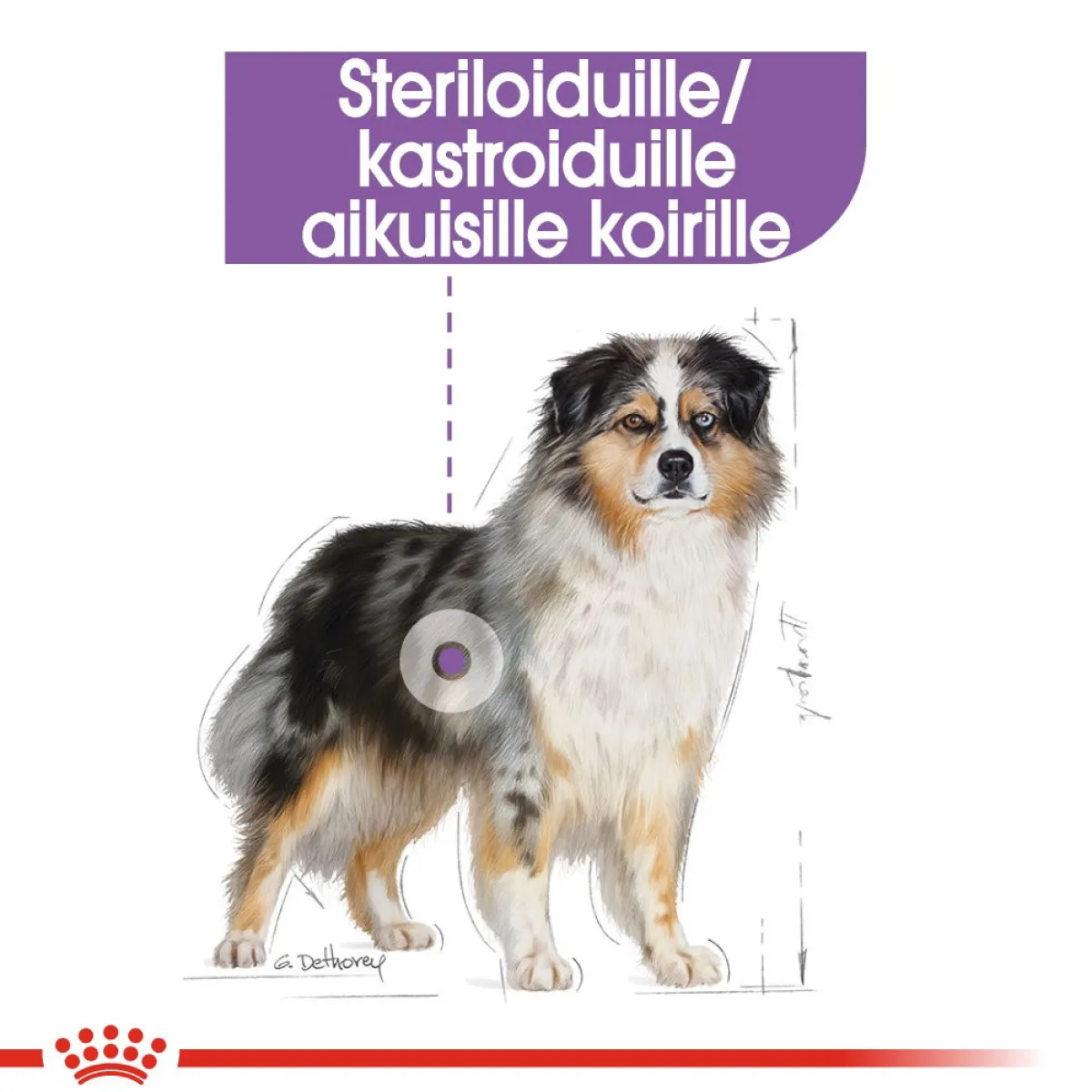 Medium Sterilised>Royal Canin Best