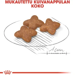 Mini Adult>Royal Canin