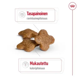 Mini Adult 8+>Royal Canin Discount
