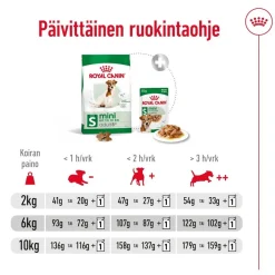 Mini Adult 8+>Royal Canin Discount