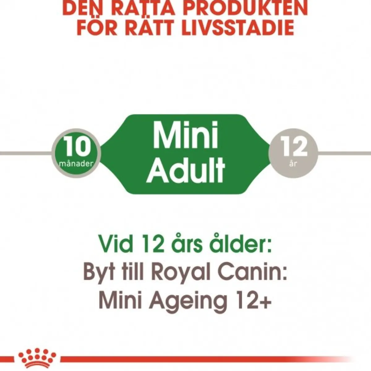 Mini Adult 48 x 85 g>Royal Canin