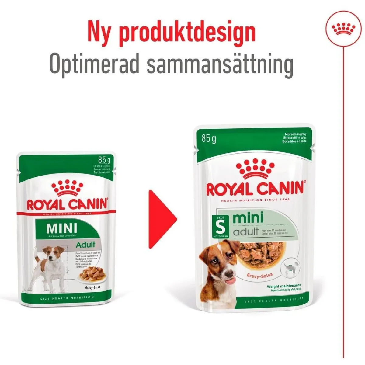 Mini Adult 48 x 85 g>Royal Canin