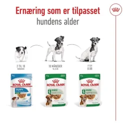 Mini Adult 48 x 85 g>Royal Canin