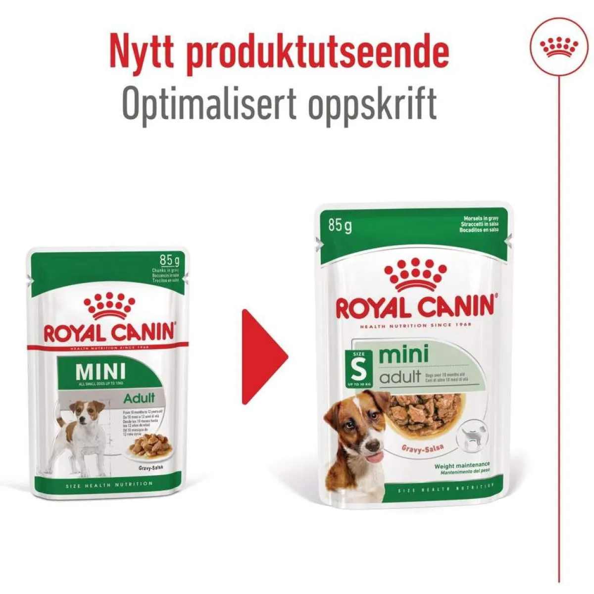 Mini Adult 48 x 85 g>Royal Canin
