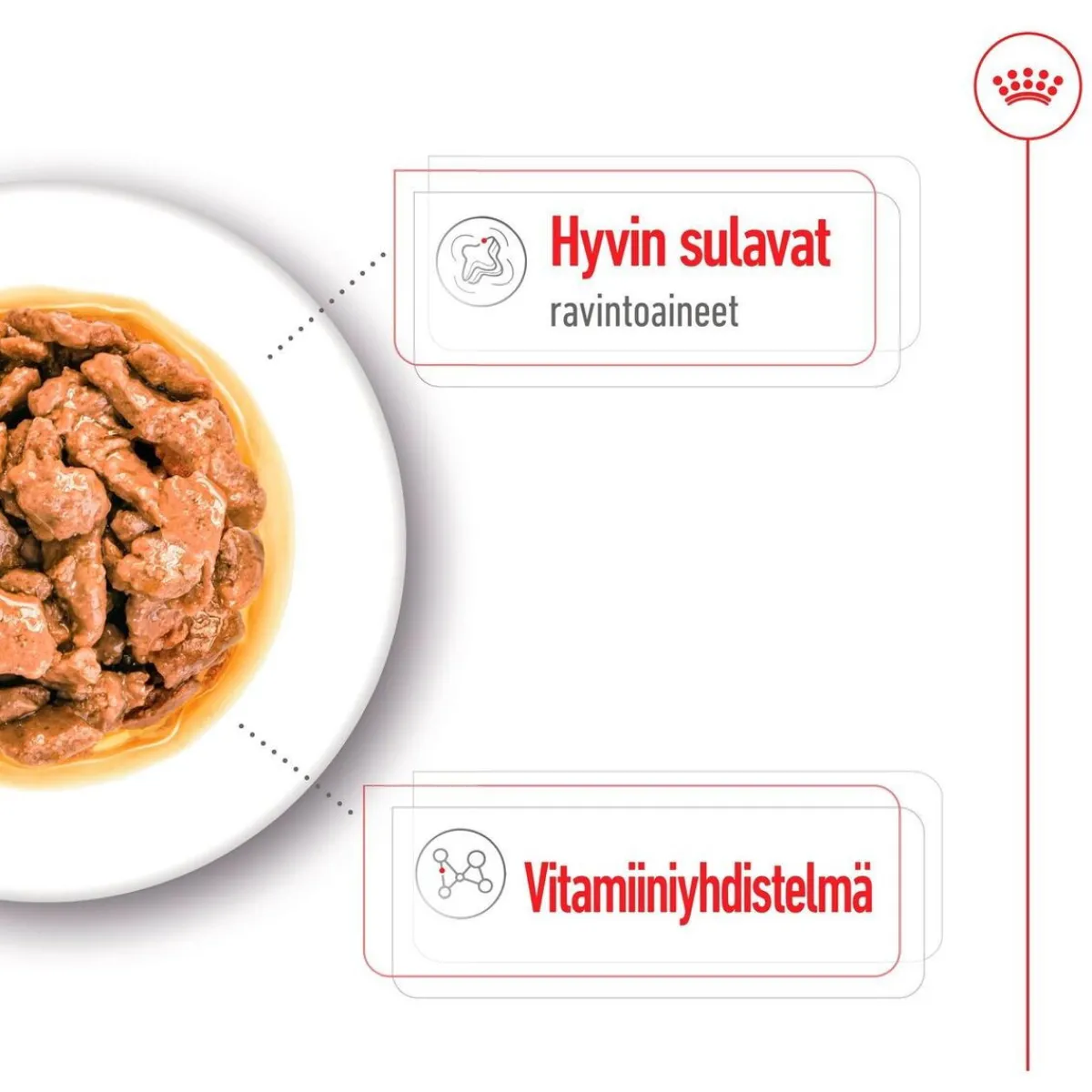 Mini Adult 48 x 85 g>Royal Canin