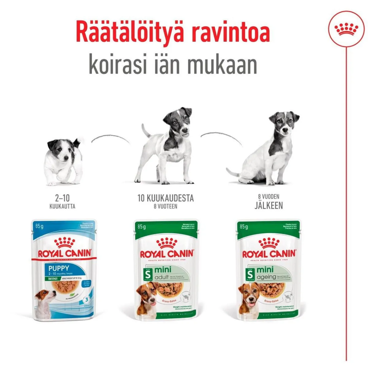 Mini Adult 48 x 85 g>Royal Canin