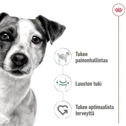 Mini Adult 48 x 85 g>Royal Canin