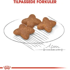 Mini Adult 2 x 8 kg>Royal Canin Online
