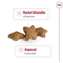Mini Adult 2 x 8 kg>Royal Canin Online