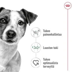 Mini Adult 2 x 8 kg>Royal Canin Online