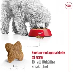 Mini Adult 2 x 8 kg>Royal Canin Online