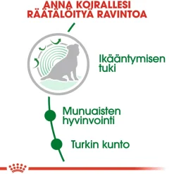 Mini Ageing 12+ 1,5 kg>Royal Canin
