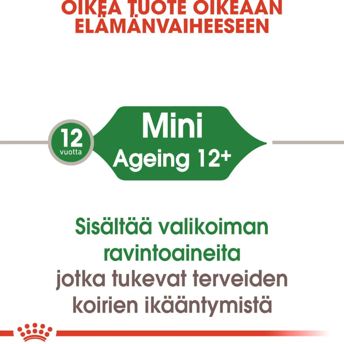 Mini Ageing Wet 12 x 85 g>Royal Canin Sale
