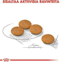Mini Dermacomfort>Royal Canin Online