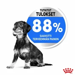 Mini Light Weight Care>Royal Canin Sale