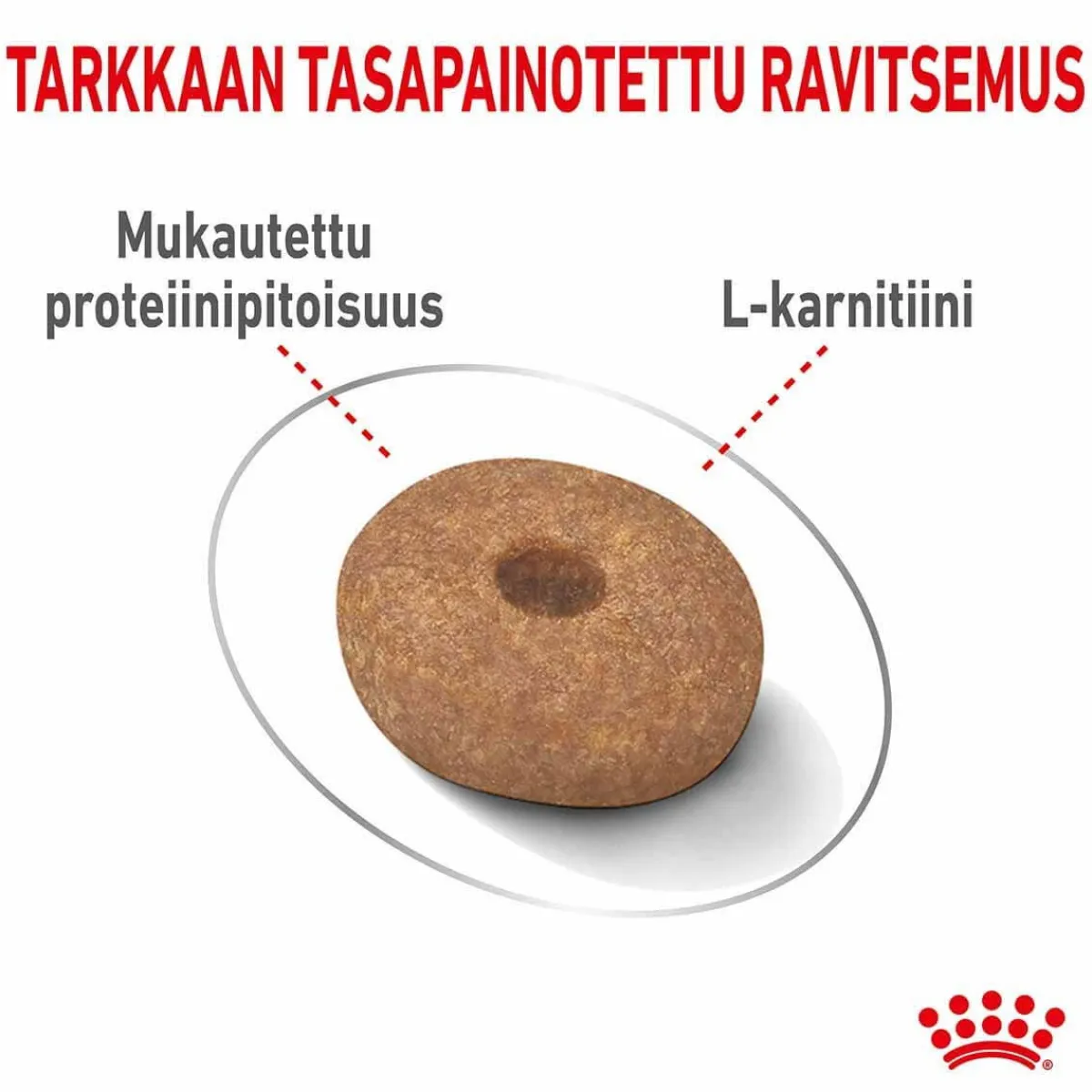 Mini Light Weight Care>Royal Canin Sale