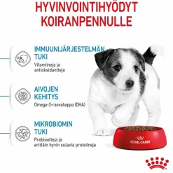 Mini Puppy>Royal Canin Online