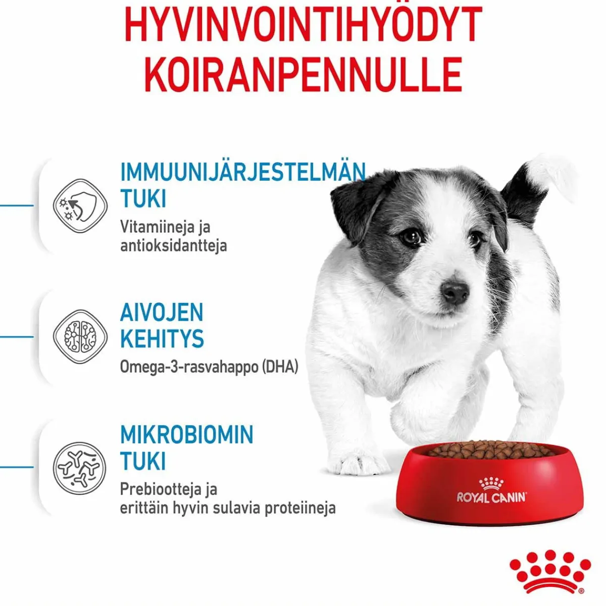 Mini Puppy>Royal Canin Online