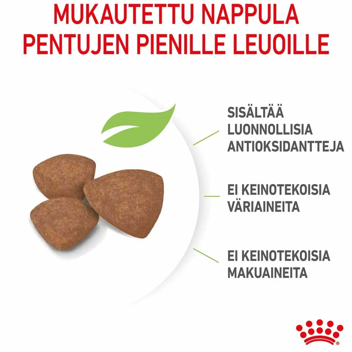 Mini Puppy>Royal Canin Online