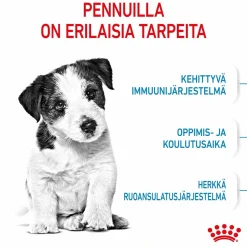 Mini Puppy>Royal Canin Online