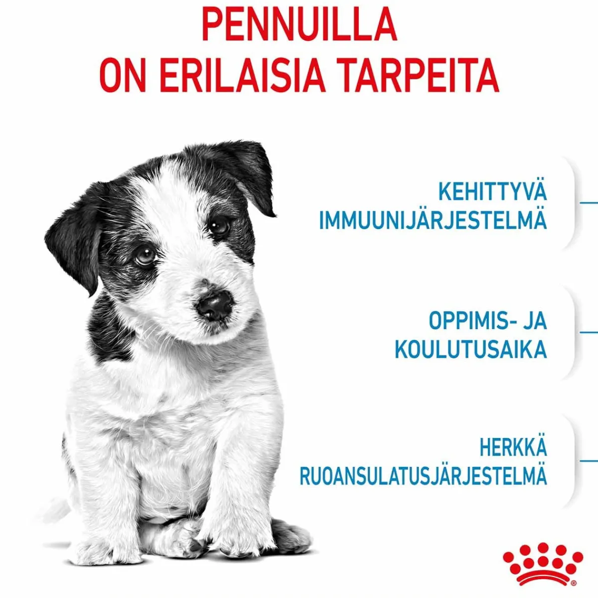 Mini Puppy>Royal Canin Online