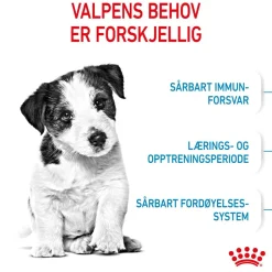 Mini Puppy 2 x 8kg>Royal Canin Discount