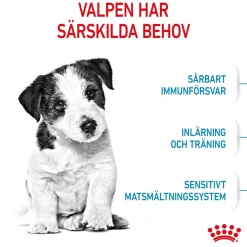 Mini Puppy 2 x 8kg>Royal Canin Discount