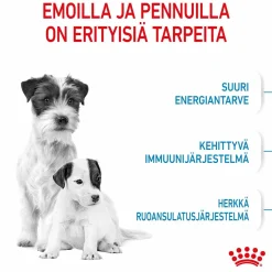 Mini Starter>Royal Canin Sale
