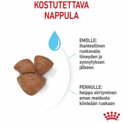 Mini Starter>Royal Canin Sale