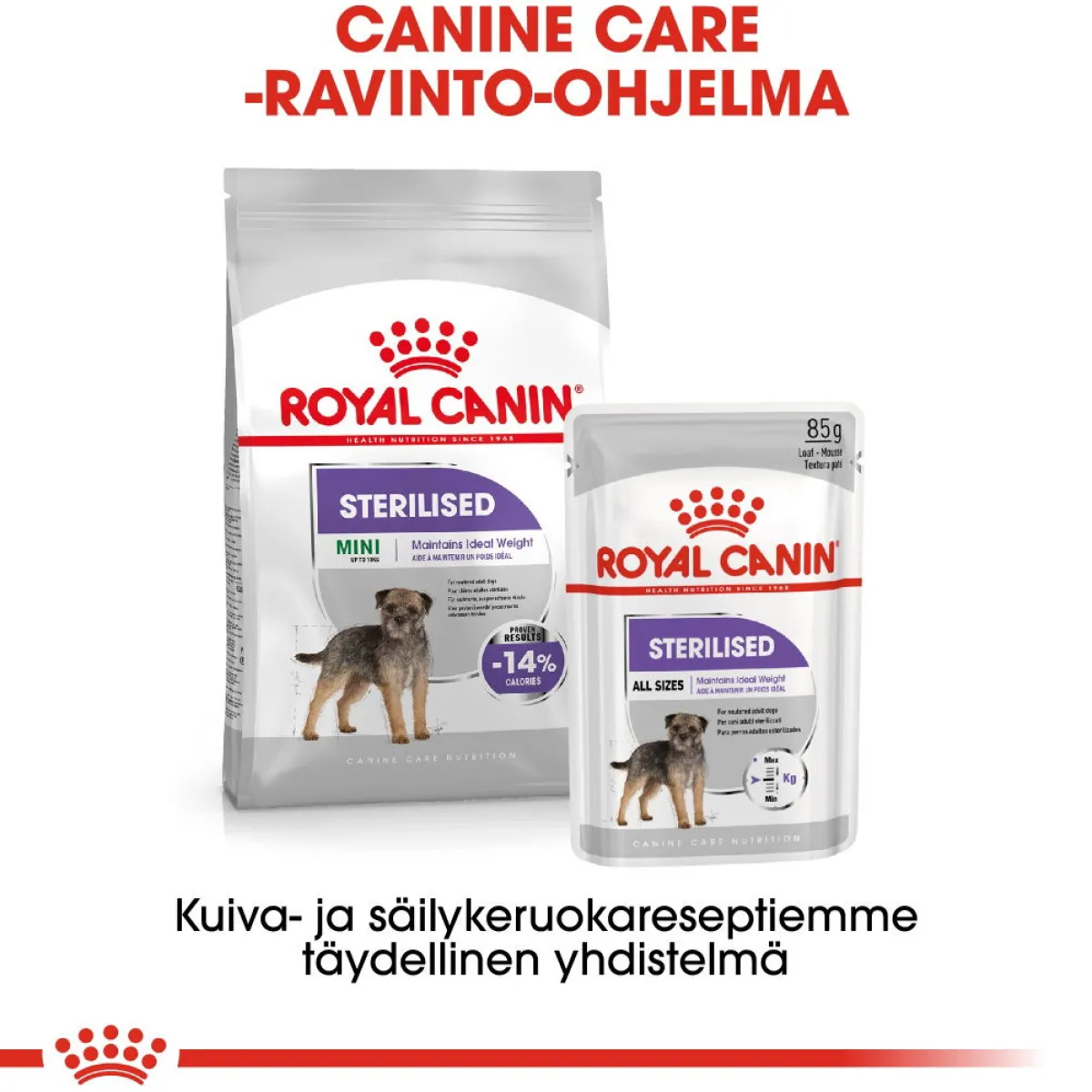 Mini Sterilised>Royal Canin Best