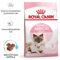 Mother & Babycat>Royal Canin