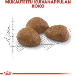 Outdoor 7+>Royal Canin Hot