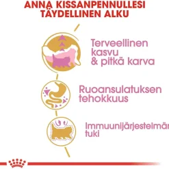 Persian Kitten>Royal Canin Online