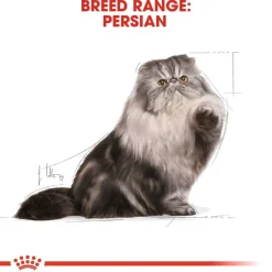 Persian Loaf 85g, 48-pack>Royal Canin Best