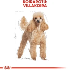 Poodle Adult>Royal Canin Sale