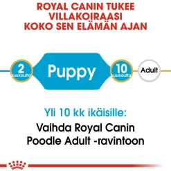 Poodle Puppy 3 kg>Royal Canin New