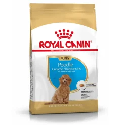 Poodle Puppy 3 kg>Royal Canin New