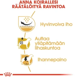 Pug Adult>Royal Canin Online