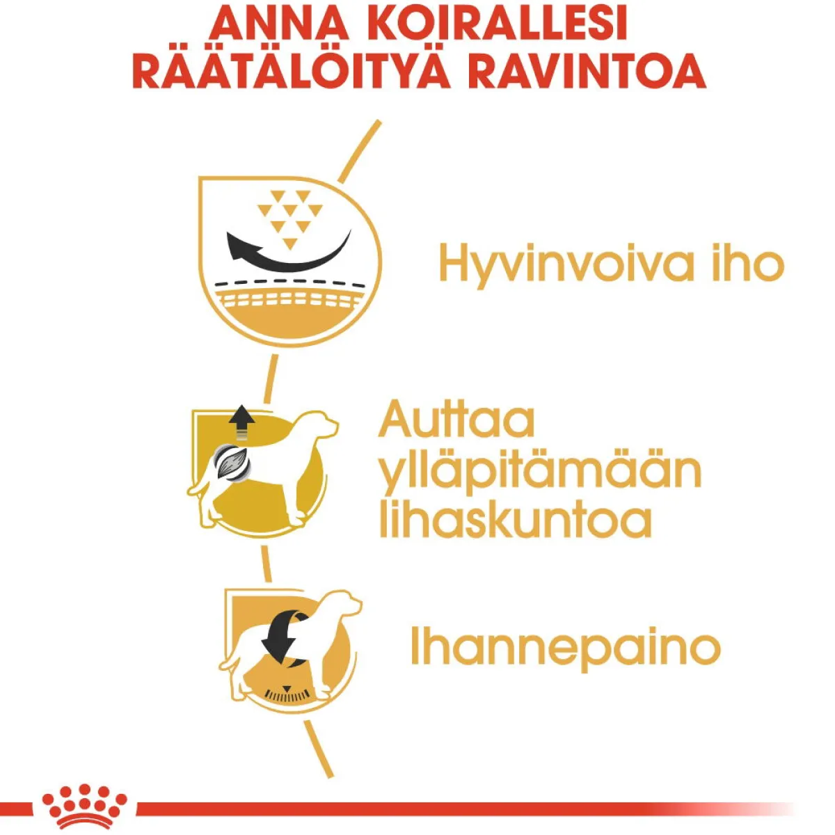 Pug Adult>Royal Canin Online