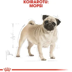 Pug Adult>Royal Canin Online