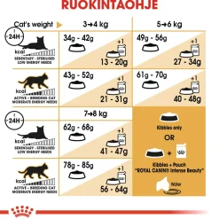 Ragdoll>Royal Canin New
