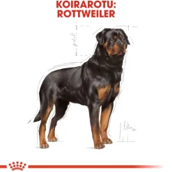Rottweiler Adult 12 kg>Royal Canin Hot