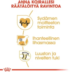 Rottweiler Adult 12 kg>Royal Canin Hot