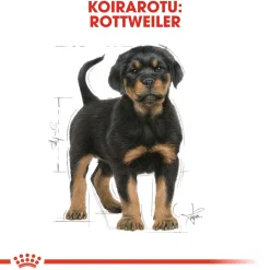 Rottweiler Puppy 12 kg>Royal Canin Sale