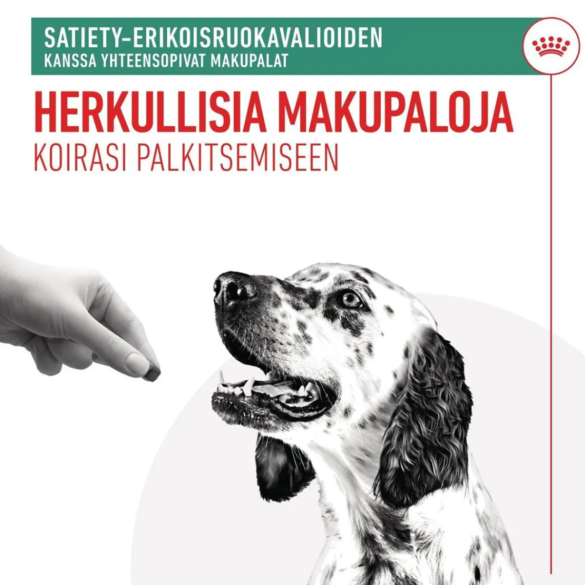 Royal Canin Satiety Treats 230 g>Royal Canin Veterinary Diets Best