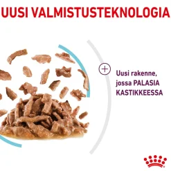 Sensory Feel Gravy, 12x85g>Royal Canin Online
