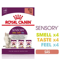 Sensory Mixed box Gravy 85g, 48-pack>Royal Canin Sale