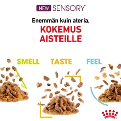 Sensory Mixed box Gravy 85g, 48-pack>Royal Canin Sale