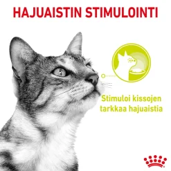 Sensory Smell Gravy 85g, 48-pack>Royal Canin Best